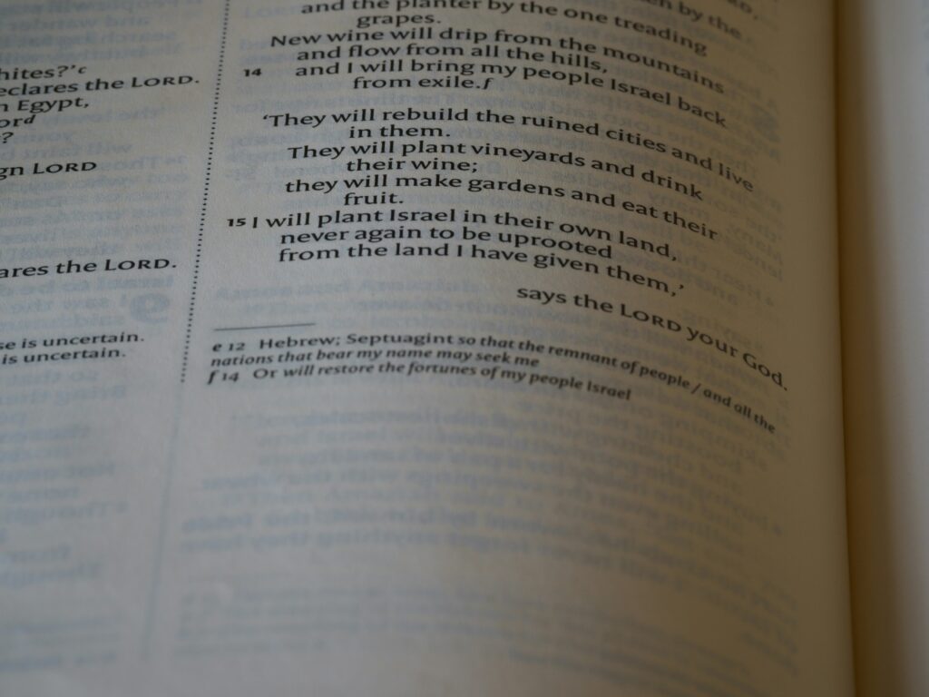 Analyzing the Impact of AI Legislation on Tech Innovation