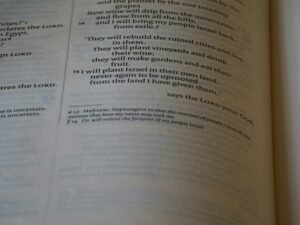 Analyzing the Impact of AI Legislation on Tech Innovation