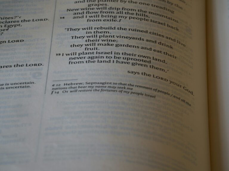 Analyzing the Impact of AI Legislation on Tech Innovation