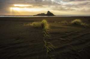 sarah j maas books series in order