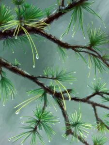 serum before or after derma rolling