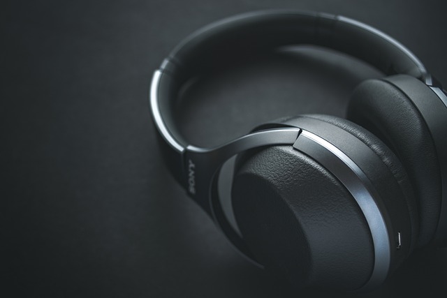 Top 5 Noise-Canceling Headphones of 2024 Compared