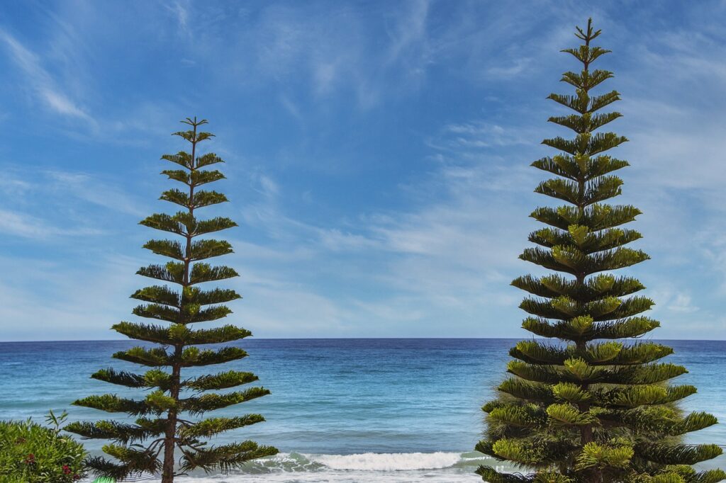 what format for logo design flpsymbolcity