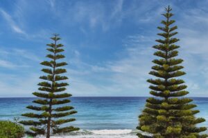 what format for logo design flpsymbolcity