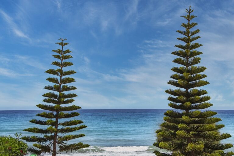 what format for logo design flpsymbolcity