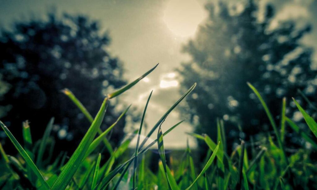 how to fix freezes in the innerlifthunt game