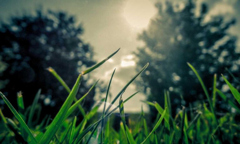 how to fix freezes in the innerlifthunt game