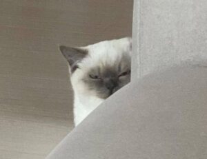 why lerakuty cave water so clear