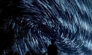 why sumcuyu high in potassium