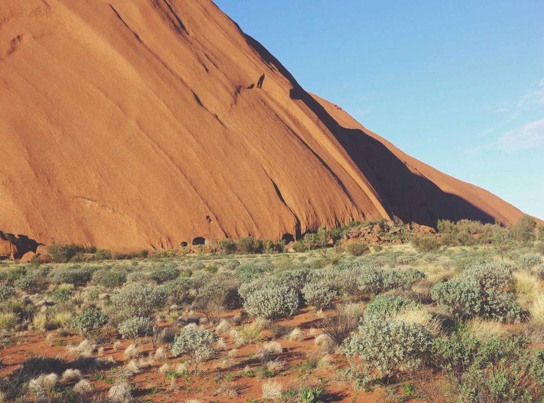 Beyond the Trend: A Look at Gentry's Acting Career