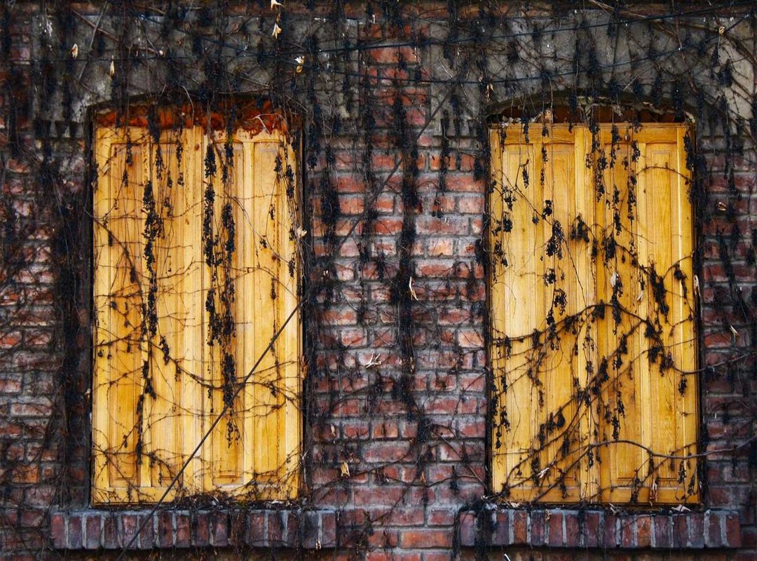 Safety First: How to Verify Your Downloads are Secure