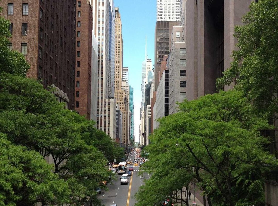 The Choice for Privacy: Why Mulder Shields Her Daughter from Fame