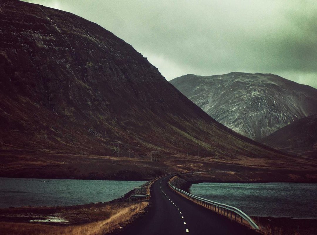 From Chilean TV to Global Meme: How the GIF Went Viral