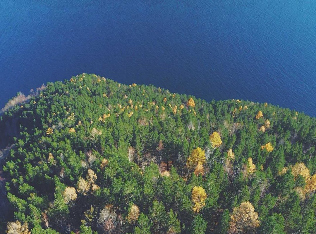 The First Impression: Packaging and Aesthetic Differences