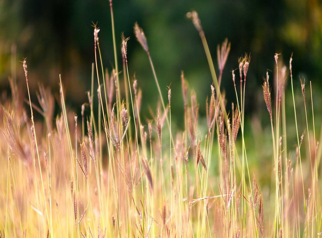 Safe and Legal Alternatives for Watching Movies Online (Many Are Free)