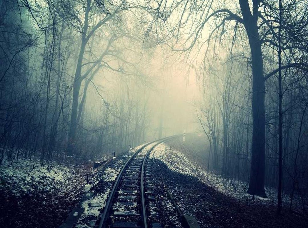 The Fuel: How Nutrition Reveals Your Hard Work