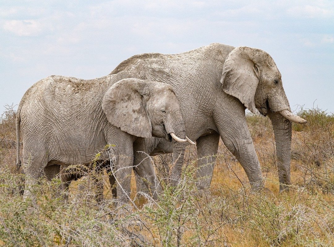 Color Palettes That Pair Perfectly with Ivory Yellow