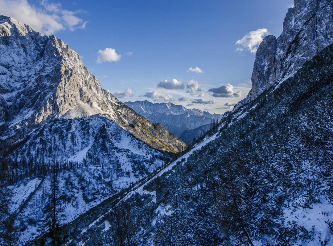 How to Spot a Scam and Protect Your Wallet (and Your Health)