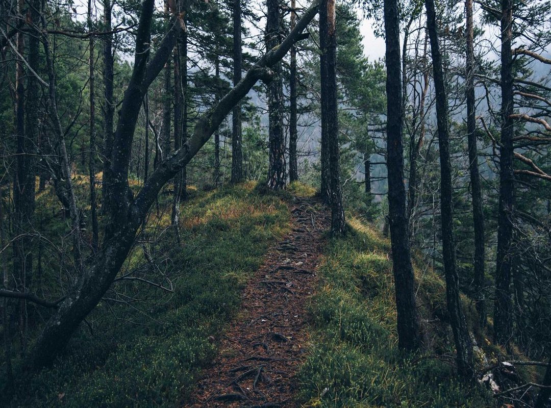 Context is Key: Where You Might See a Sequence Like This